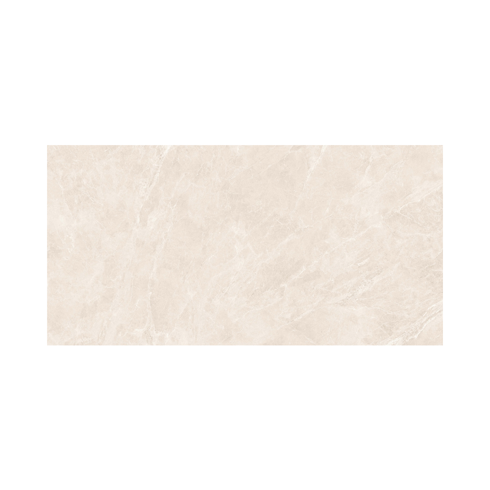 Swan Bone